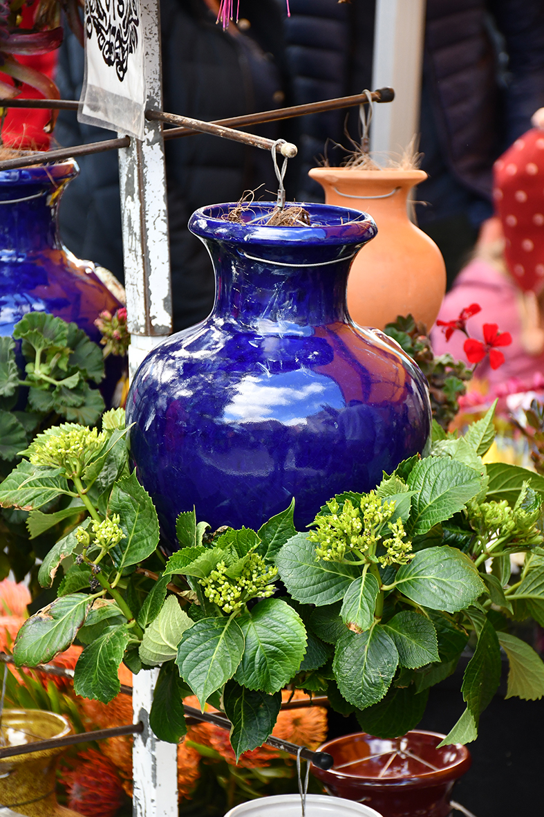 Henry Van Der Staay | Site 150 | Upside down pots